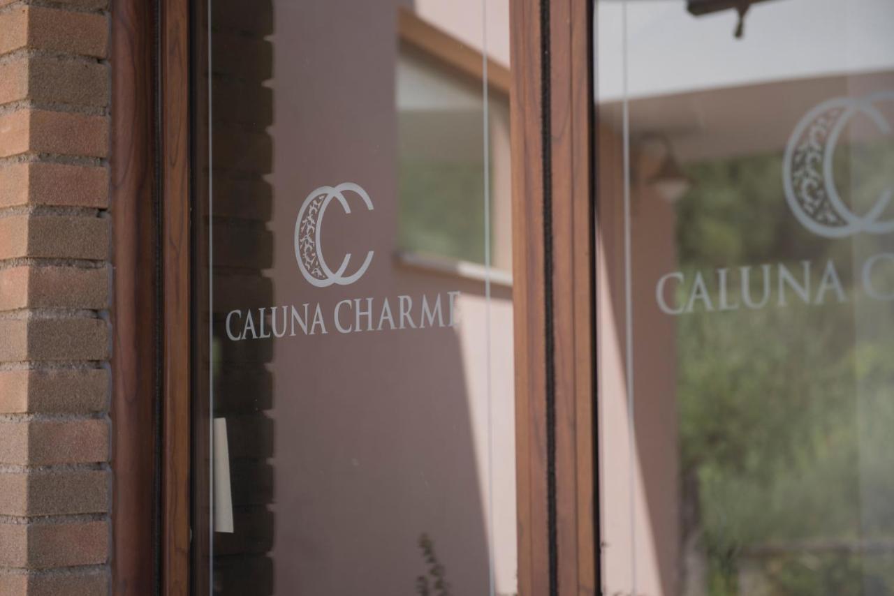 Hotel Caluna Charme San Giovanni a Piro Exterior foto